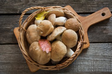 Forset sepeti rustik ahşap yönetim kurulu, genel gider görünümü üzerinden taze beyaz mantar.