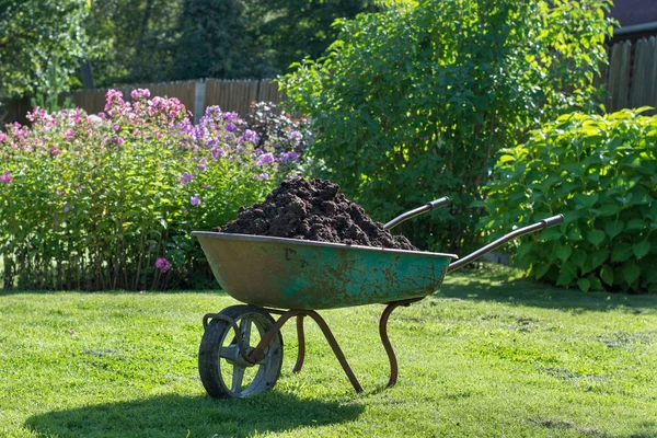 Carrinho de mão cheio de composto no gramado verde no jardim . — Fotografia de Stock