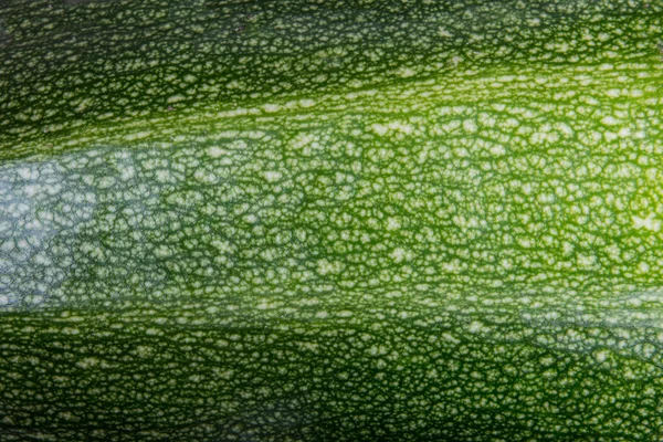 Svålen zucchini. Närbild. — Stockfoto