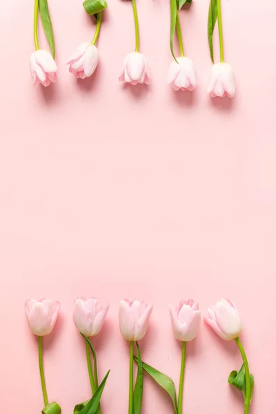 Pink tulips on pastel pink. Top view with copy space.