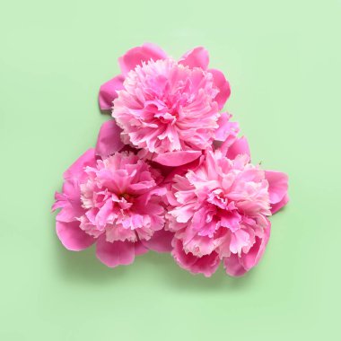 Yeşil üzerine pembe şakayık çiçekleri. Asgari yaratıcı kompozisyon.