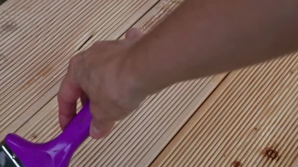 Woman painting priming the floor on the larch summer veranda. — Stock Video