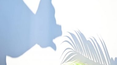 Köpek suratlı birinin yemesi, oynaması ve duvardaki yapraklar gibi komik bir el gölgesi. Çocuklar için oyunlar.