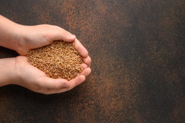 Kahverengi arka planda tam tahıllı Farro var. Üst görünüm.