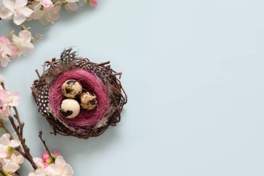 Yuvasında bıldırcın yumurtaları ve mavi üzerinde bahar çiçekleri olan Paskalya kompozisyonu.