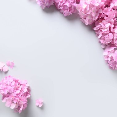 Gri arkaplanda kare şeklinde pembe ortanca çiçekleri. Tebrik kartı.