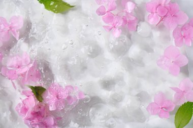 Romantik, yumuşak ve güzel desenli pembe ortanca çiçekleri arka planı