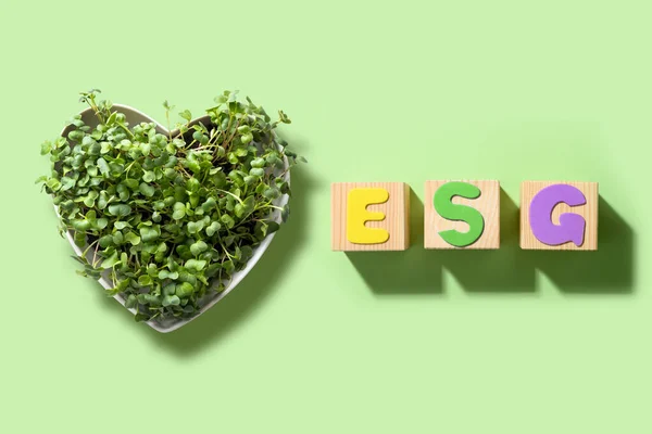 ESG - Environmental Соціальна. Уряд. Рецензія компанії на екологічну дружелюбність бізнесу. — стокове фото