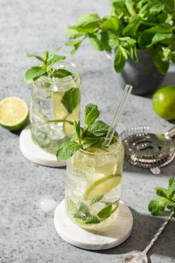 Limonlu mojito, gri arka planda nane ve buz küpü..