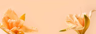 Flowers pattern of lily flowers on orange background, seamless pattern.