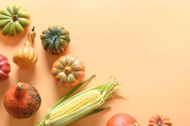 Sonbahar hasadı, balkabakları, mısır koçanı, turuncu arka planda renkli yapraklar. Sonbahar, Şükran Günü makara yapar.