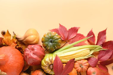 Sonbahar hasadı, balkabağı, mısır koçanı turuncu arka planda renkli üzüm yaprakları olan bayram afişi. Şükran Günü ve Cadılar Bayramı partisi hazırlıkları..