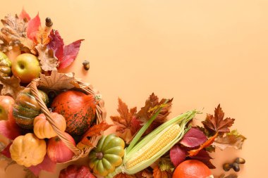 Sonbahar hasadı, balkabağı, mısır koçanı, turuncu arka planda renkli yapraklar içeren Şükran Günü kompozisyonu. Cadılar Bayramı Partisi Hazırlığı.