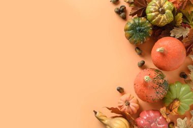 Sonbahar hasadı, balkabakları, mısır koçanı, turuncu arka planda renkli yapraklar. Sonbahar, Şükran Günü makara yapar.