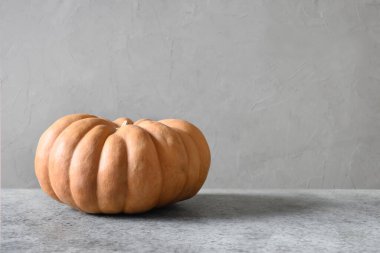 Gri arka planda organik balkabağı. Şükran Günü ya da Cadılar Bayramı için sonbahar hasadı.