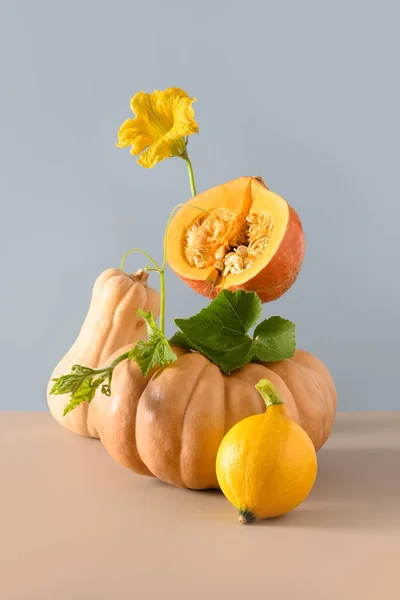 Pumpkins for Halloween or Thanksgiving Day of different shapes in balance composition on white background.