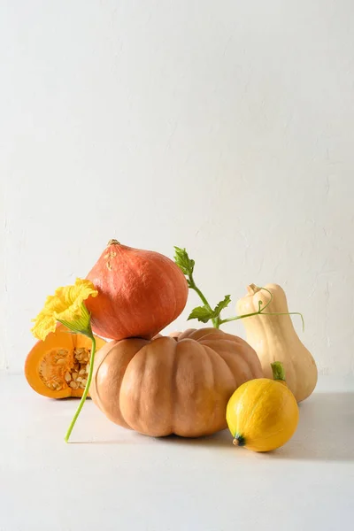 Pumpkins for Halloween or Thanksgiving Day of different shapes in balance composition on white background.