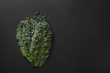 Popüler Toskana lahana salatasından taze yapraklar ve fotokopi alanı..