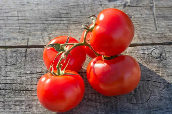 Los tomates sobre la rama sobre la tabla áspera de madera . —  Fotos de Stock