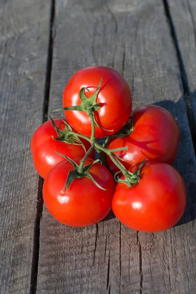 Los tomates sobre la rama sobre la tabla áspera de madera . —  Fotos de Stock