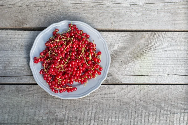 Red currant on plate — Stock Photo, Image