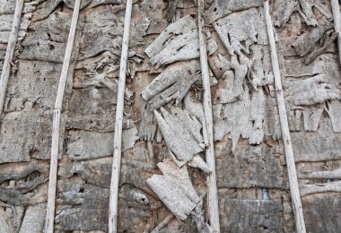 Doku. Huş kabuğu parçaları gelen çatı eğimi.