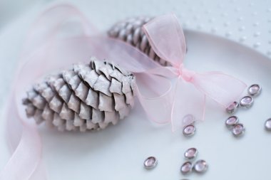 Çam kozalakları şerit, saflık dekorasyon ile beyaz çanak üzerinde.