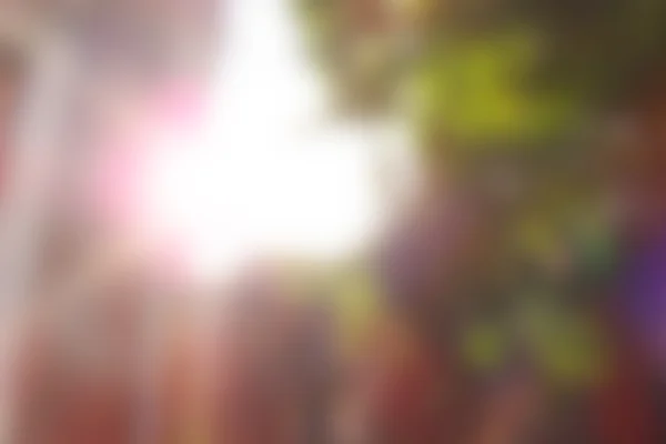 doğa arka plan bulanıklık