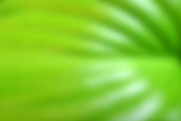 doğa arka plan bulanıklık