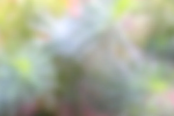 doğa arka plan bulanıklık