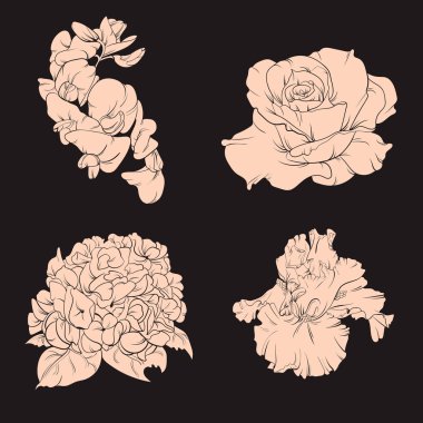 El çizilmiş çiçek illüstrasyon vektör koleksiyonu .