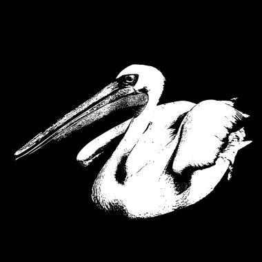 Elle çizilmiş illüstrasyonlu vektör levhası izole edildi. Yaratıcı sanat eserleri. Kart, poster, afiş, tişört, rozet, yama için baskı şablonu.