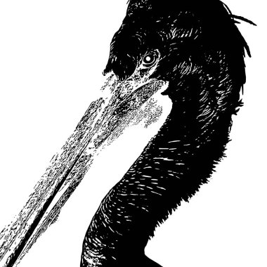 Elle çizilmiş illüstrasyonlu vektör levhası izole edildi. Yaratıcı sanat eserleri. Kart, poster, afiş, tişört, rozet, yama için baskı şablonu.