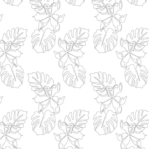 Modèle Vectoriel Avec Illustration Minimaliste Dessinée Main Monstera Feuille Fleur — Image vectorielle