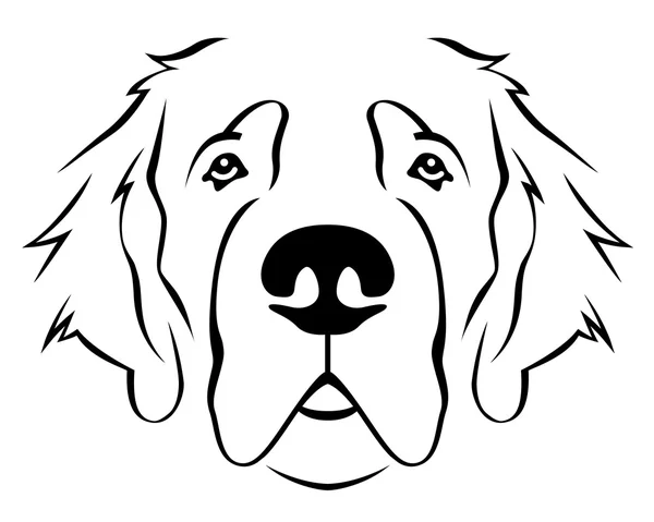 Dog Breed Line Art Logo Saint Bernard - Stok Vektor