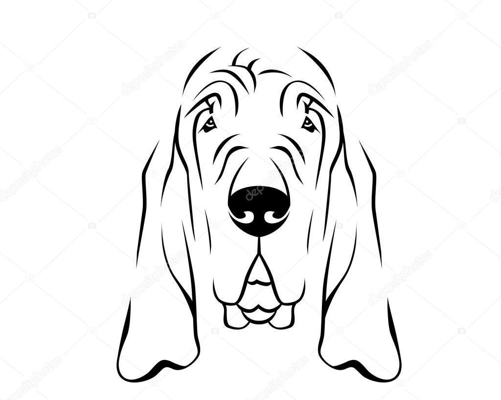 Drawings dog breed line Dog Breed Line Art Logo