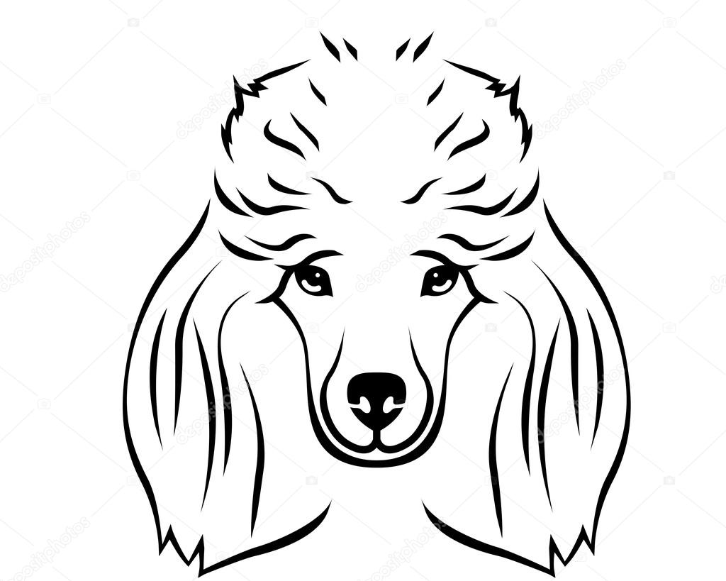 Psí plemeno Line Art Logo pudl — Stock Vektor