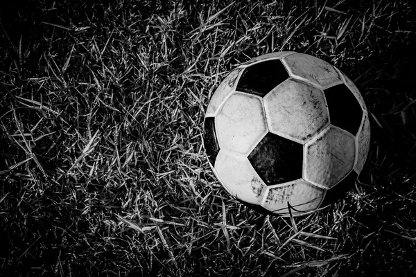 Otları B&W eski kirli futbol