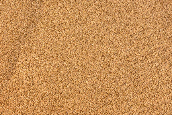 Sandy beach arka plan ve detaylı kum doku.