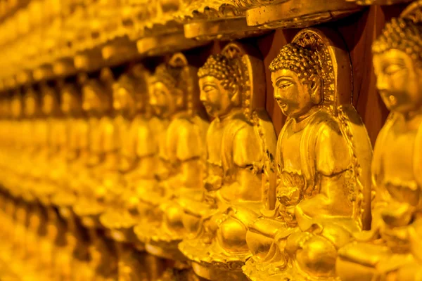 Minta a golden fafaragás buddha szobor, a falon kínai templom — Stock Fotó