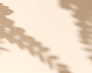 Duvarında bitki gölgesi olan botanik arka planı. Vitrin, Pastel Light arkaplanındaki reklam metni için boş alan. Promosyon primi organik eko ürün -3D canlandırma. Meditasyon rahatlama spa posteri