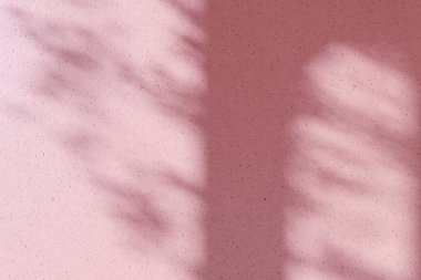 Pink background with shadow on the wall. Showcase, empty space for ad text on pastel light background. Promotion premium organic eco product -3D render. Meditation relaxation spa poster