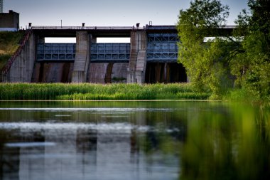 Baraj Gölü sazlık