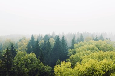 sis ormanında kasabanın dışında