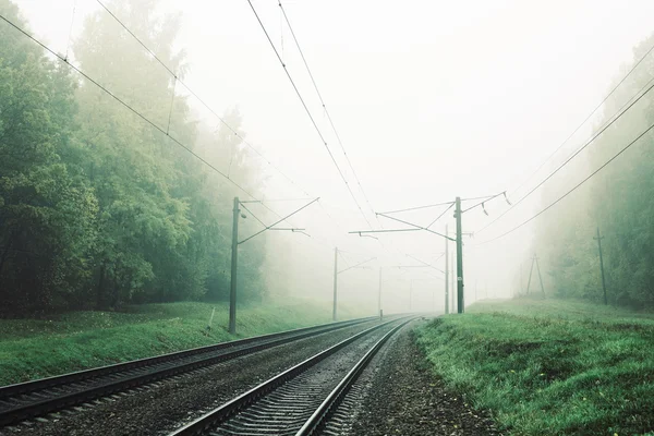 Paisagem com a ferrovia na floresta no nevoeiro — Fotografia de Stock