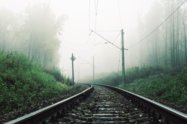 пейзаж с железной дорогой в лесу в тумане
