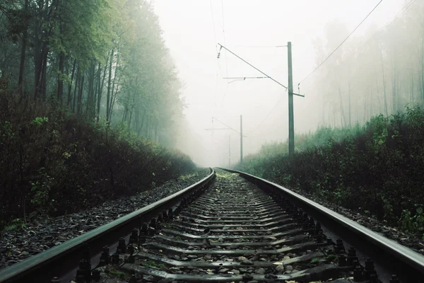 Paesaggio con la ferrovia nella foresta nella nebbia — Foto Stock