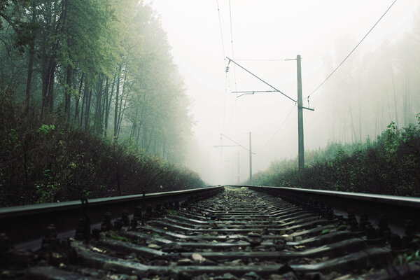пейзаж с железной дорогой в лесу в тумане
