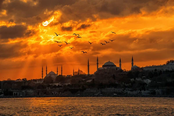 Силуэт Мечети Святой Софии Султанахмета Летающей Птицей Небе Закате Стамбуле — стоковое фото