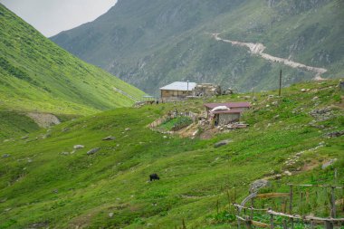 Rize, TURKEY - 31 Temmuz 2015: Avusor veya Avusr, Rize 'nin Amlhemin ilçesinde bir platodur..